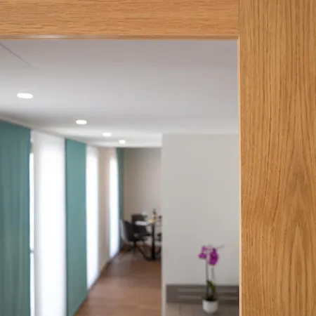 Szálloda Maggiore - Welcome! Muralto